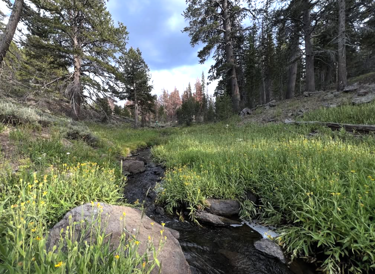 Best Reno Tahoe Spots for Water Day Fun