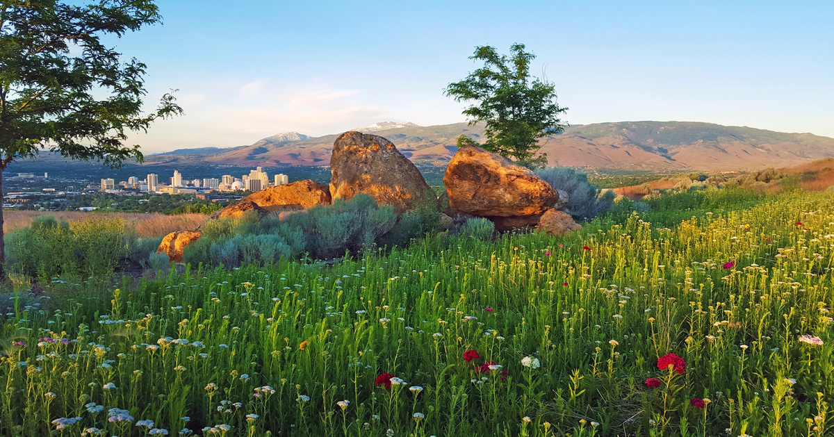 Spring in Reno & Lake Tahoe