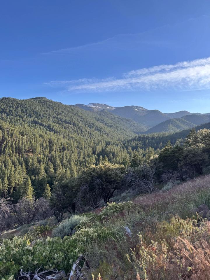 Views from Thomas Creek hiking trails