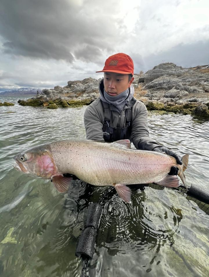 Lahontan Cutthroat Trout caught in Pyramid Lake.