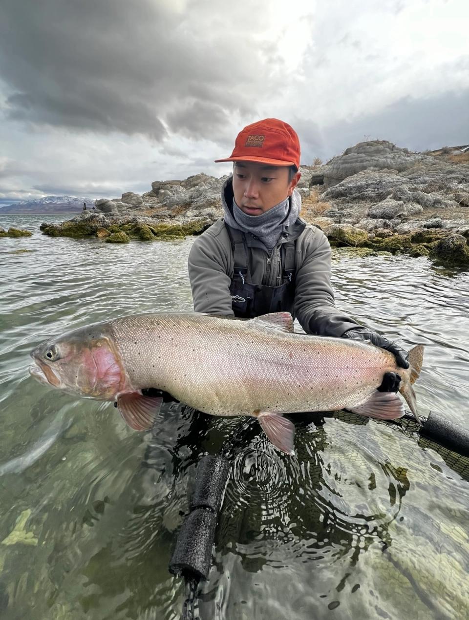 Lahontan Cutthroat Trout caught in Pyramid Lake.