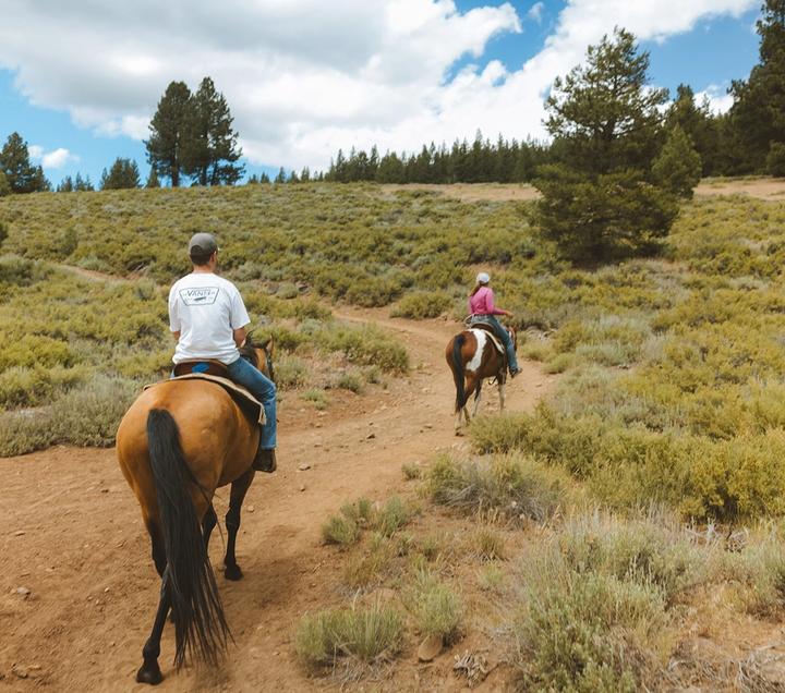 Horseback riding in Lake Tahoe on trail