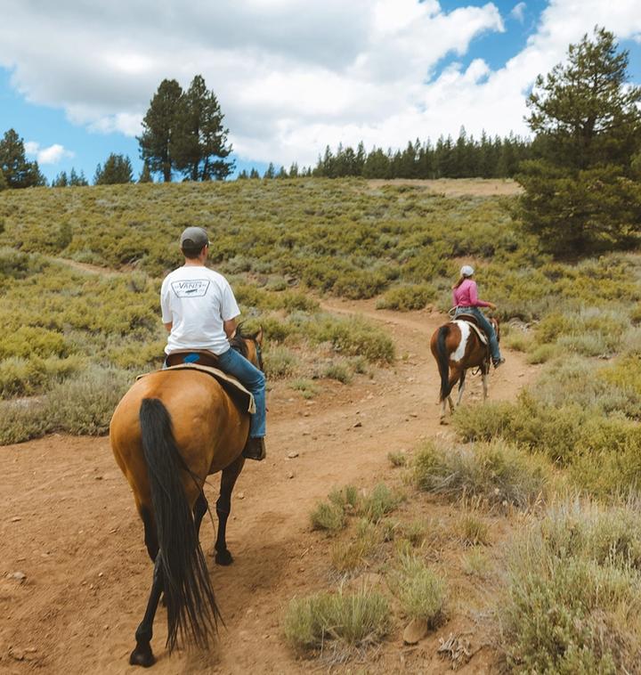 Horseback riding in Lake Tahoe on trail