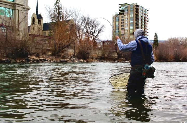 Fishing the Truckee River in downtown Reno