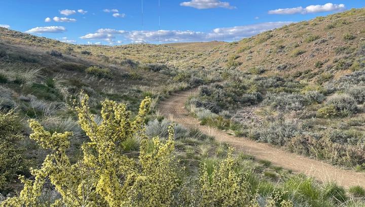 Hiking trails on Peavine