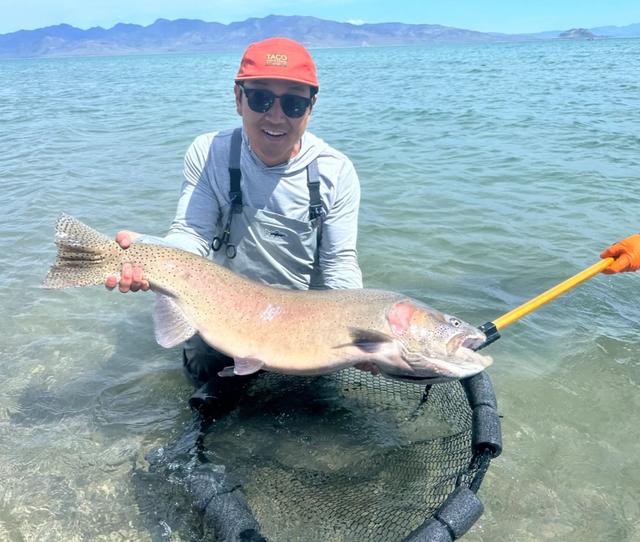 Lahontan Cutthroat Trout (24lbs!) caught in Pyramid Lake.