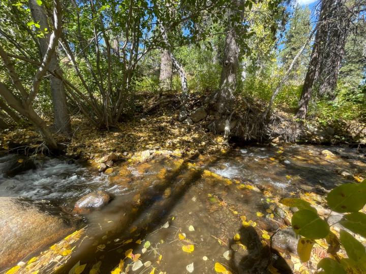 Thomas Creek