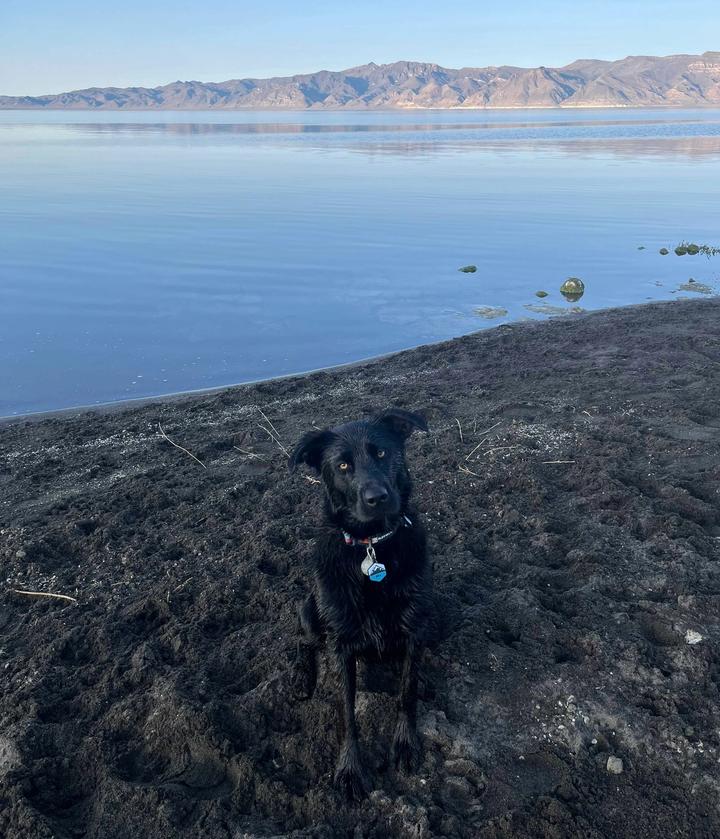 Pyramid Lake