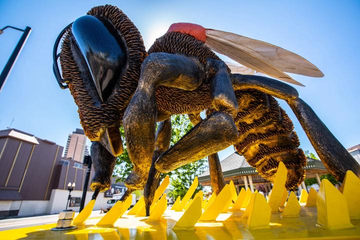 Bee sculpture display located in Sparks, NV