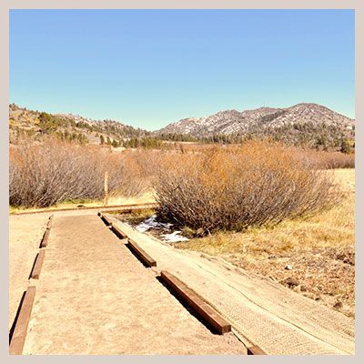 NEV-ADA ACCESSIBILITY