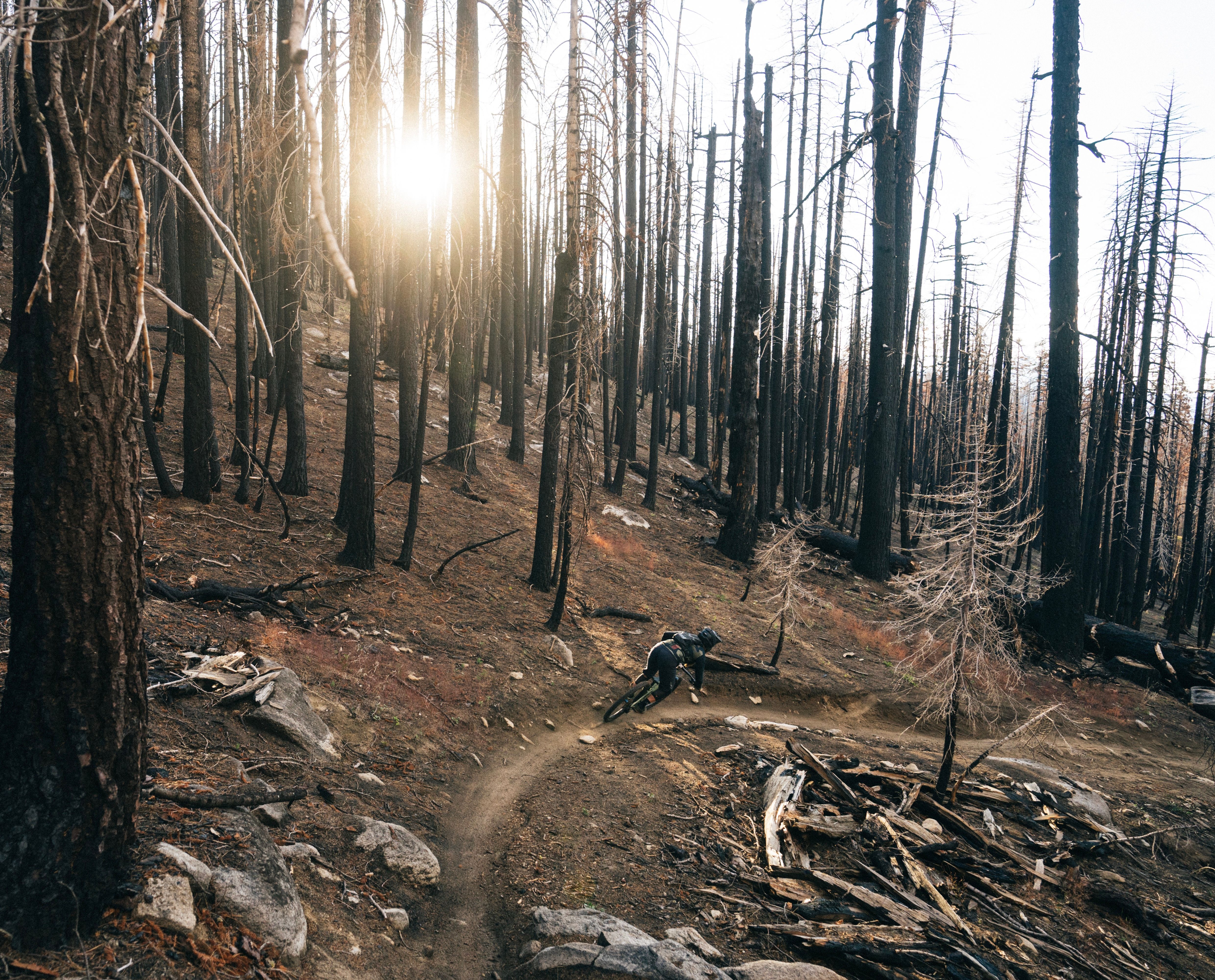 Mountain bike trail in Lake Tahoe
