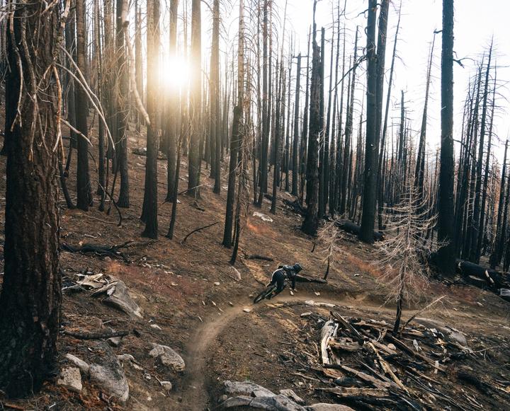 Mountain bike trail in Lake Tahoe