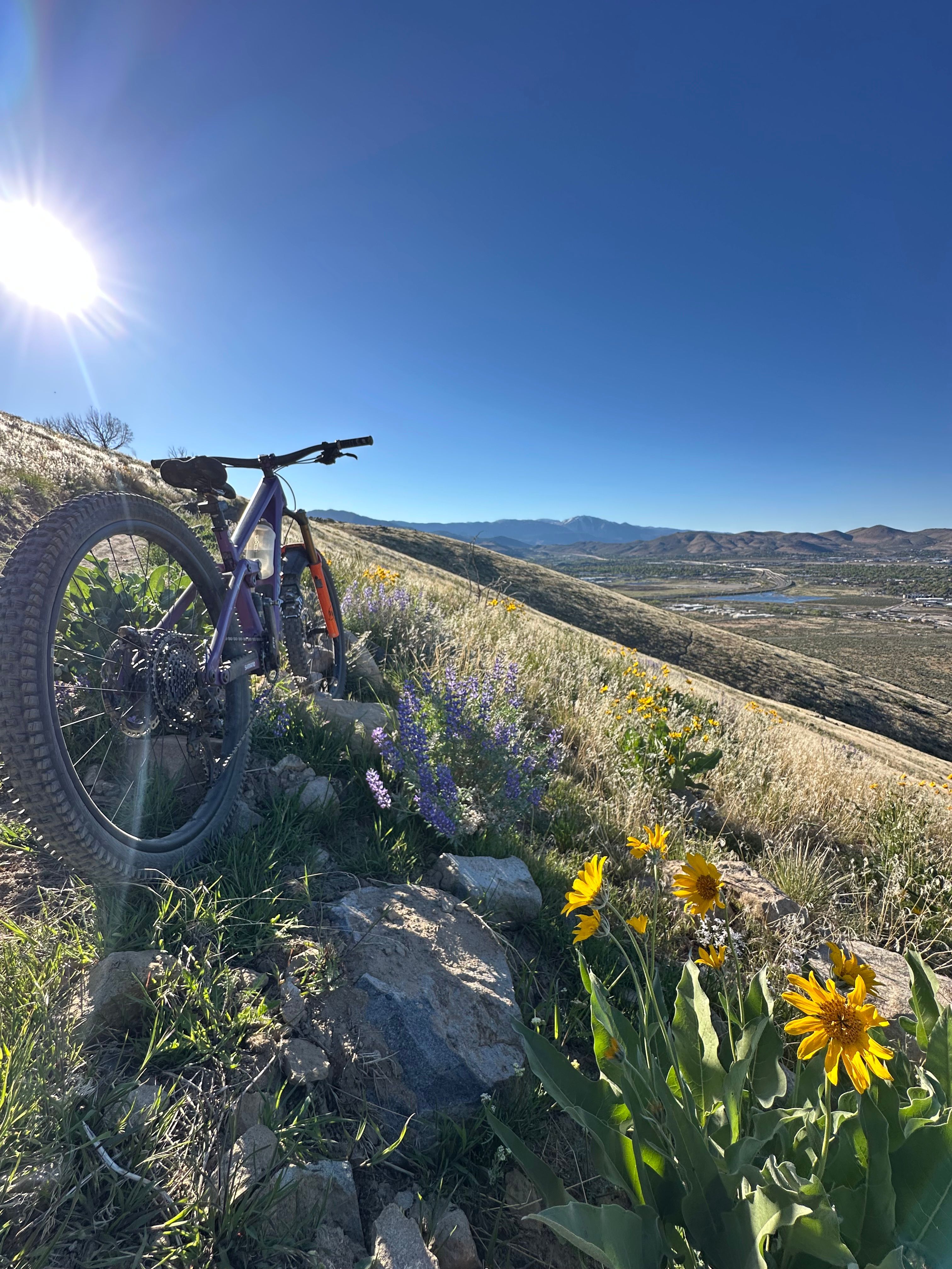 Mountain bike trail in Prison Hill, Carson City