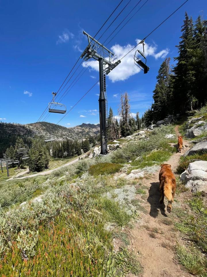 Shirley Canyon hiking trail