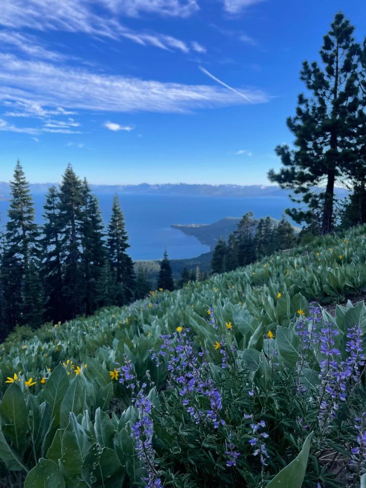 Hiking to Rifle Peak