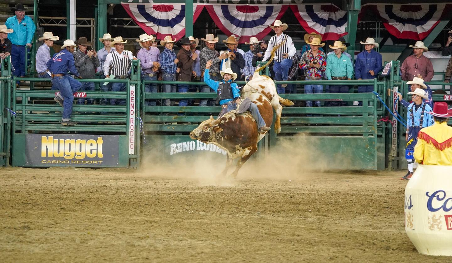 Bull rider at the Reno Rodeo