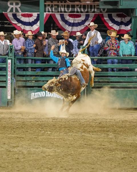 Bull rider at the Reno Rodeo