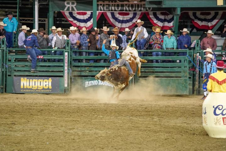 Bull rider at the Reno Rodeo