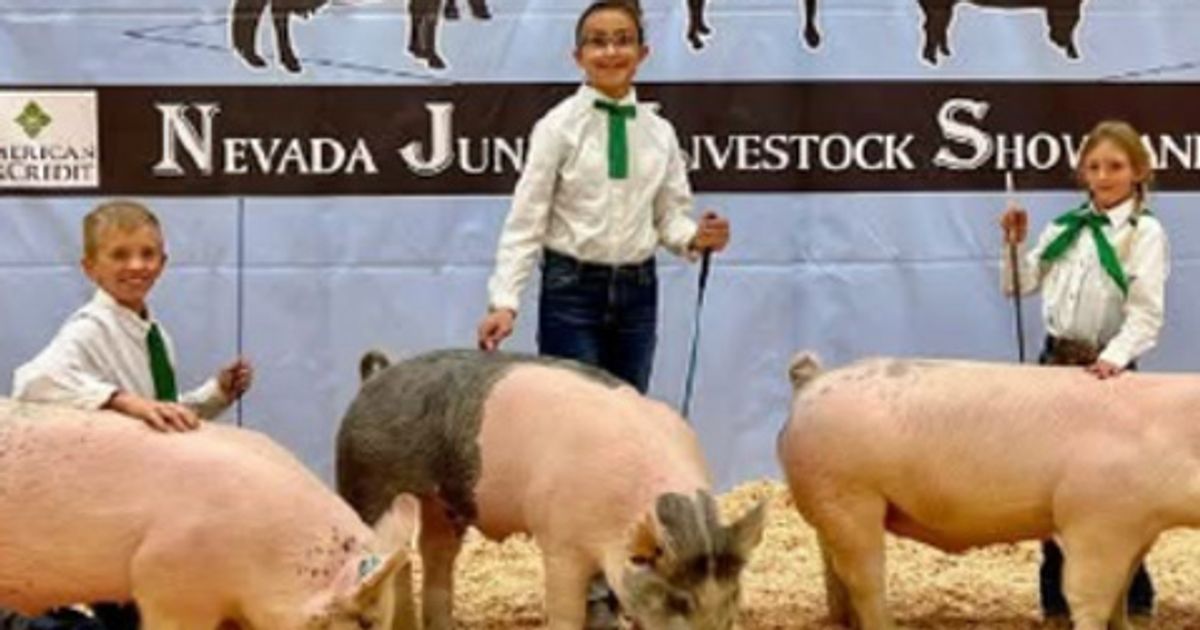 washoe-4-h-swine-clinic-march-1-reno-sparks-livestock-events-center
