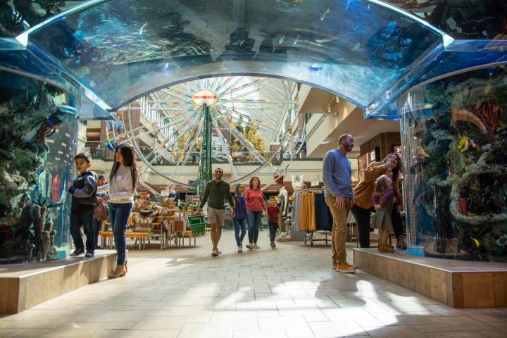 Families viewing large fish tanks in Scheels sporting goods store.