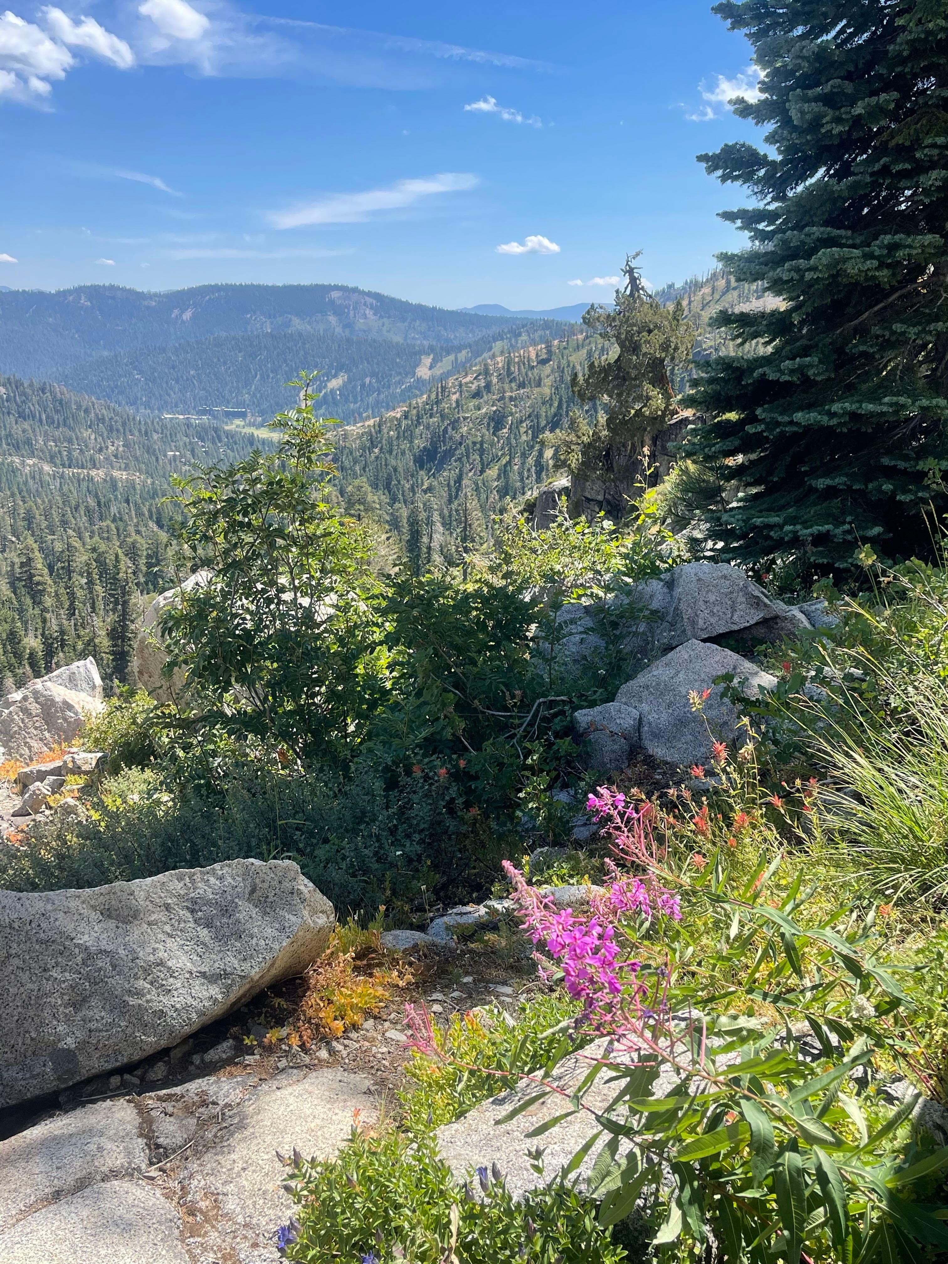 Views from Shirley Canyon hiking trail