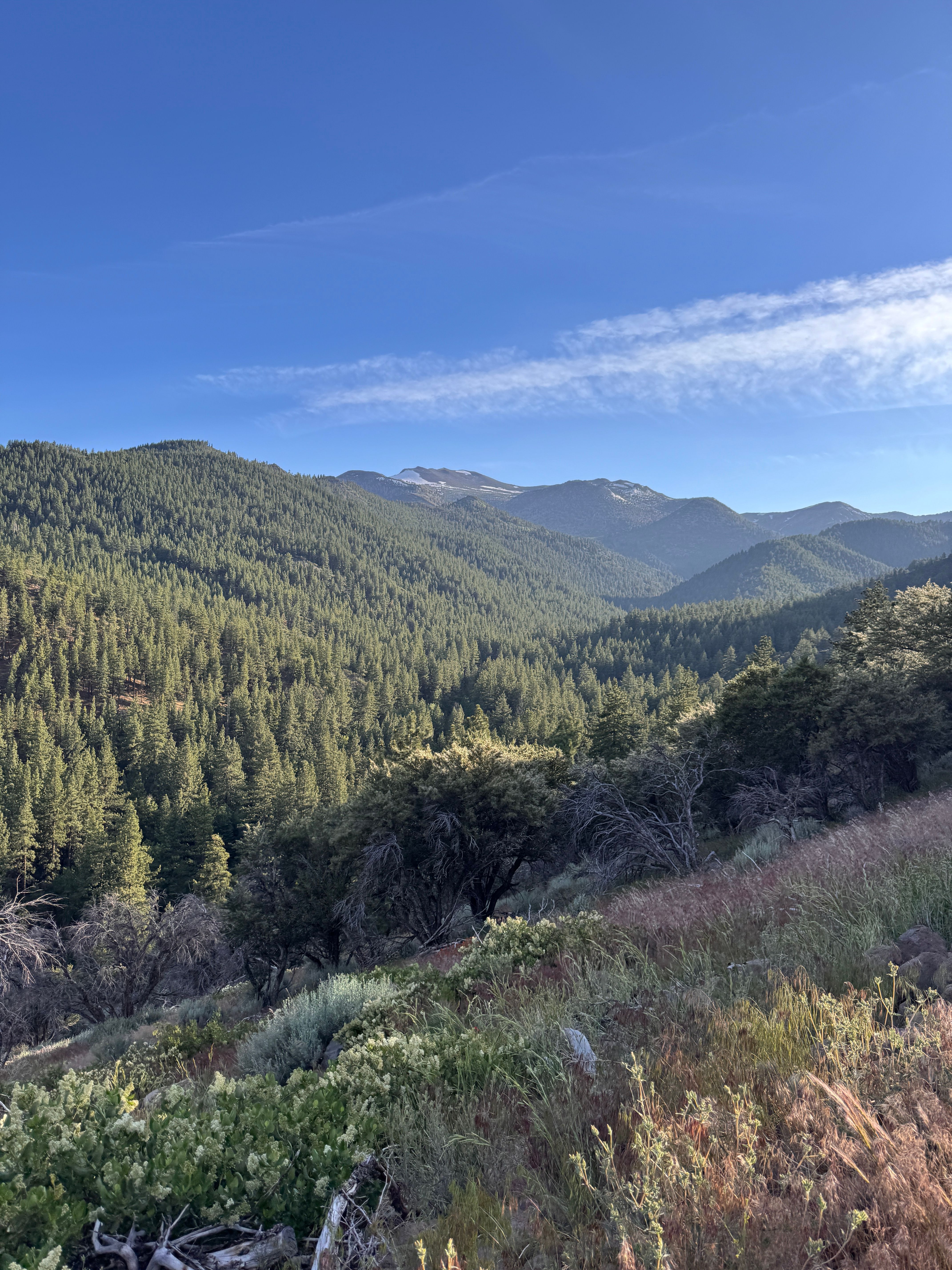 Views from Thomas Creek hiking trails