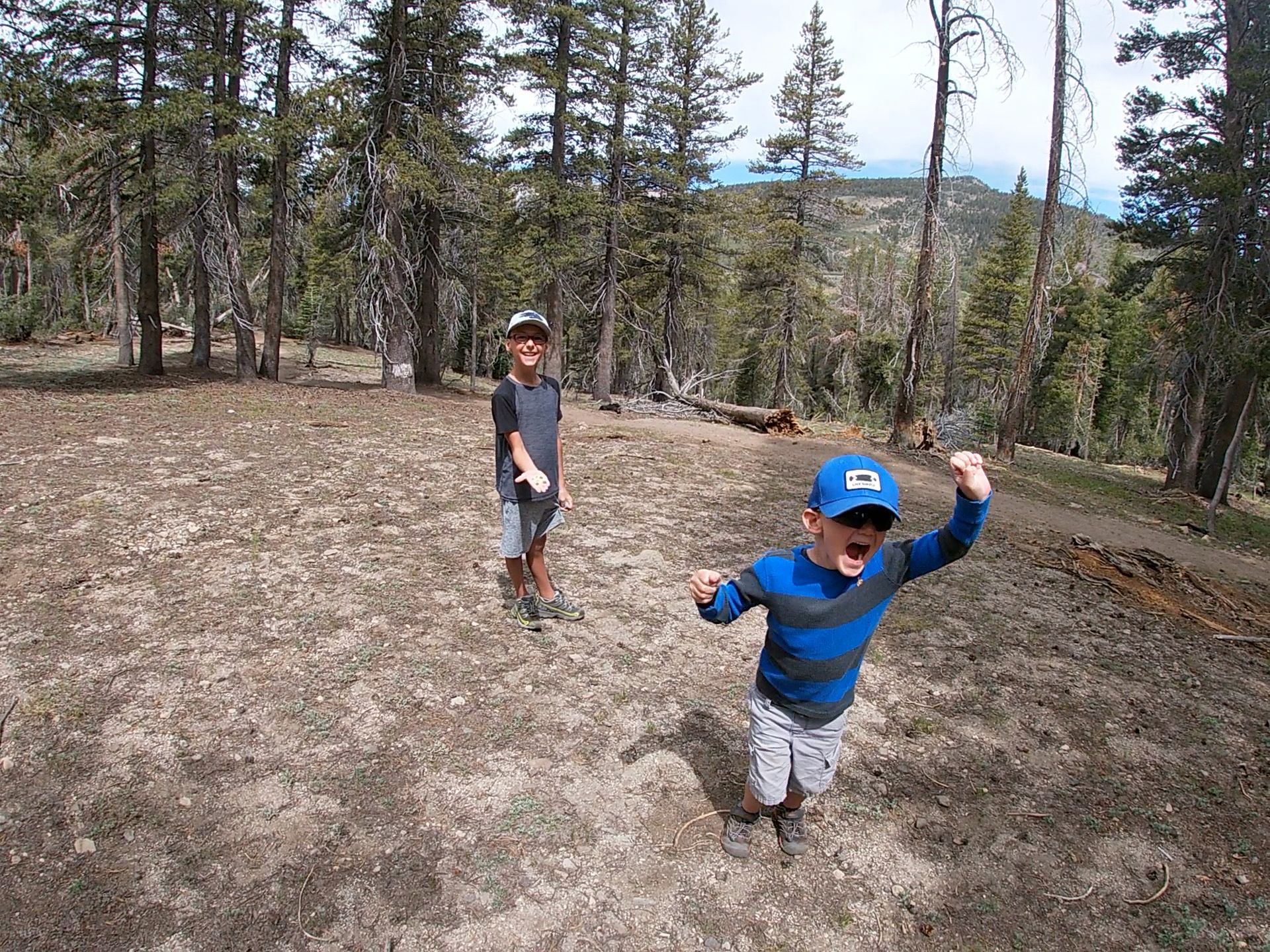 Excited to feed the birds at Chickadee Ridge.