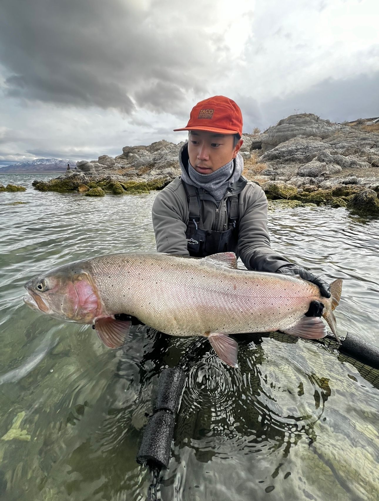 Lahontan Cutthroat Trout caught in Pyramid Lake.