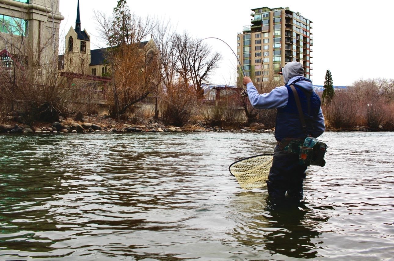 Fishing the Truckee River in downtown Reno