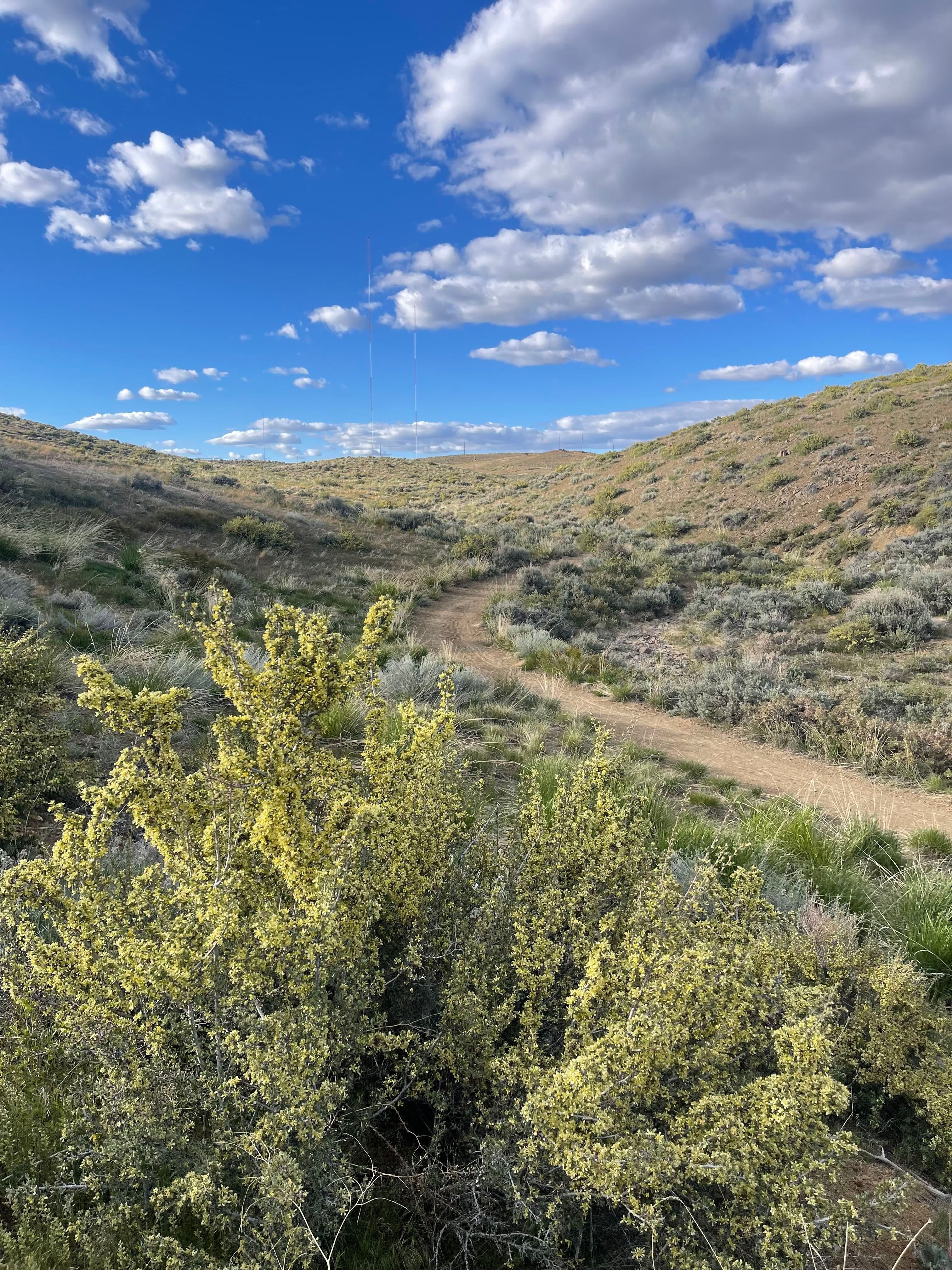 Hiking trails on Peavine