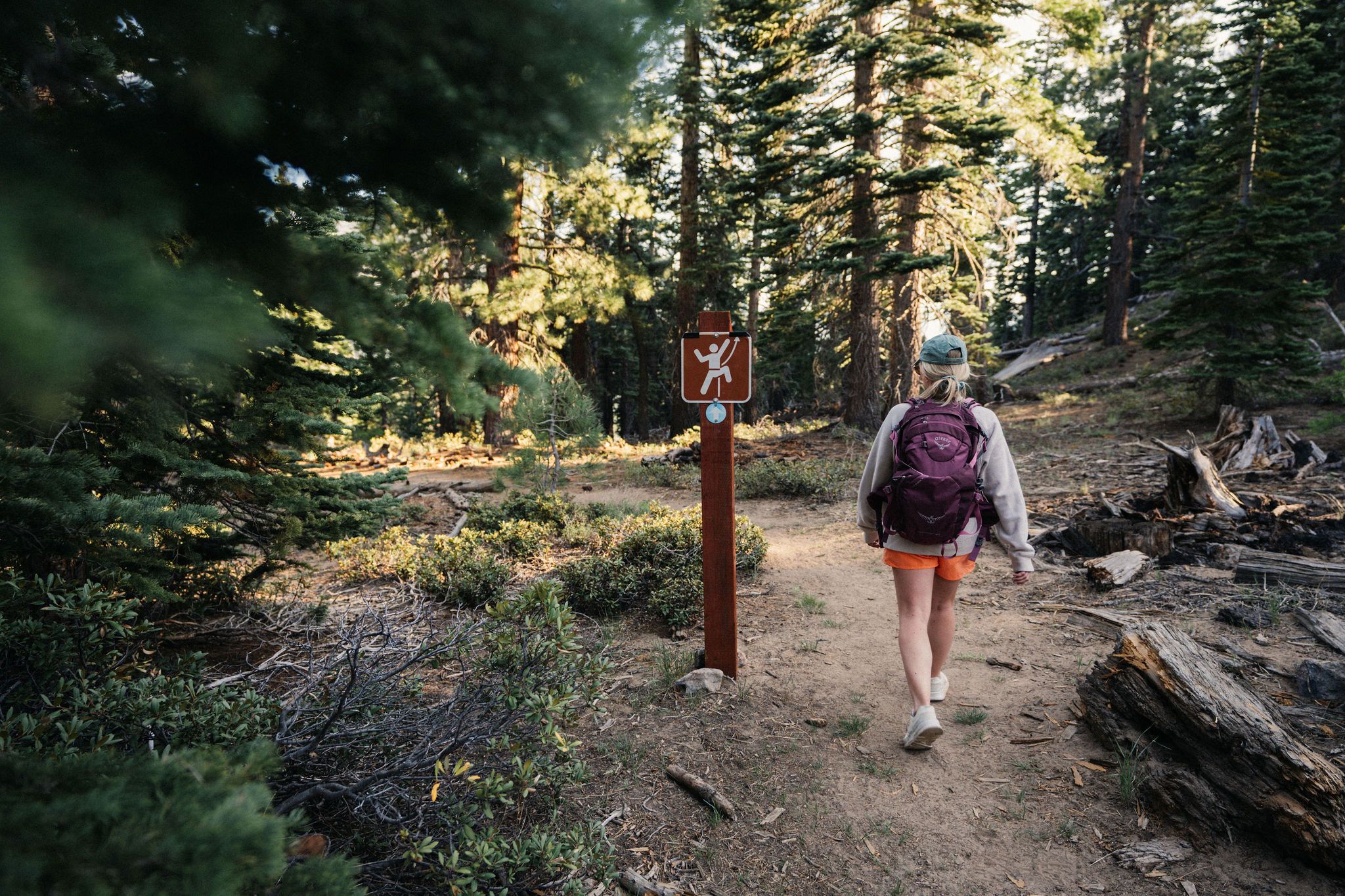 Trail to Castle Rock