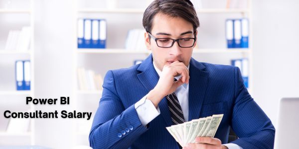 Power BI Consultant Salary