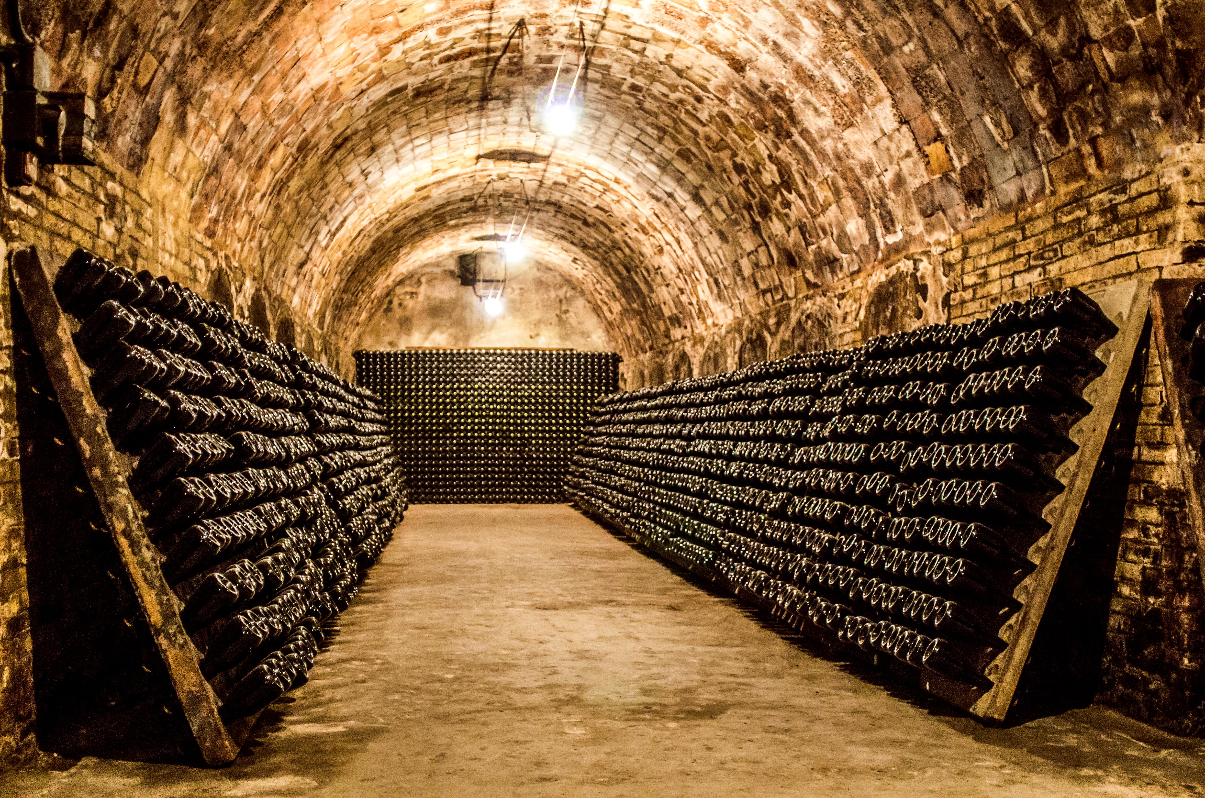 European Wine Tourism Index: TUI Musement ranks the best countries for wine lovers | TUI Group - One of the world's leading tourism groups
