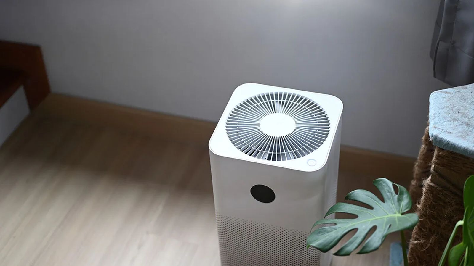 How Air Purifiers and Duct Cleaning Work Together for Cleaner Air
