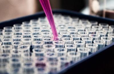 GHAI and WHO Announce Joint Initiative on Global Standards for Health AI Safety