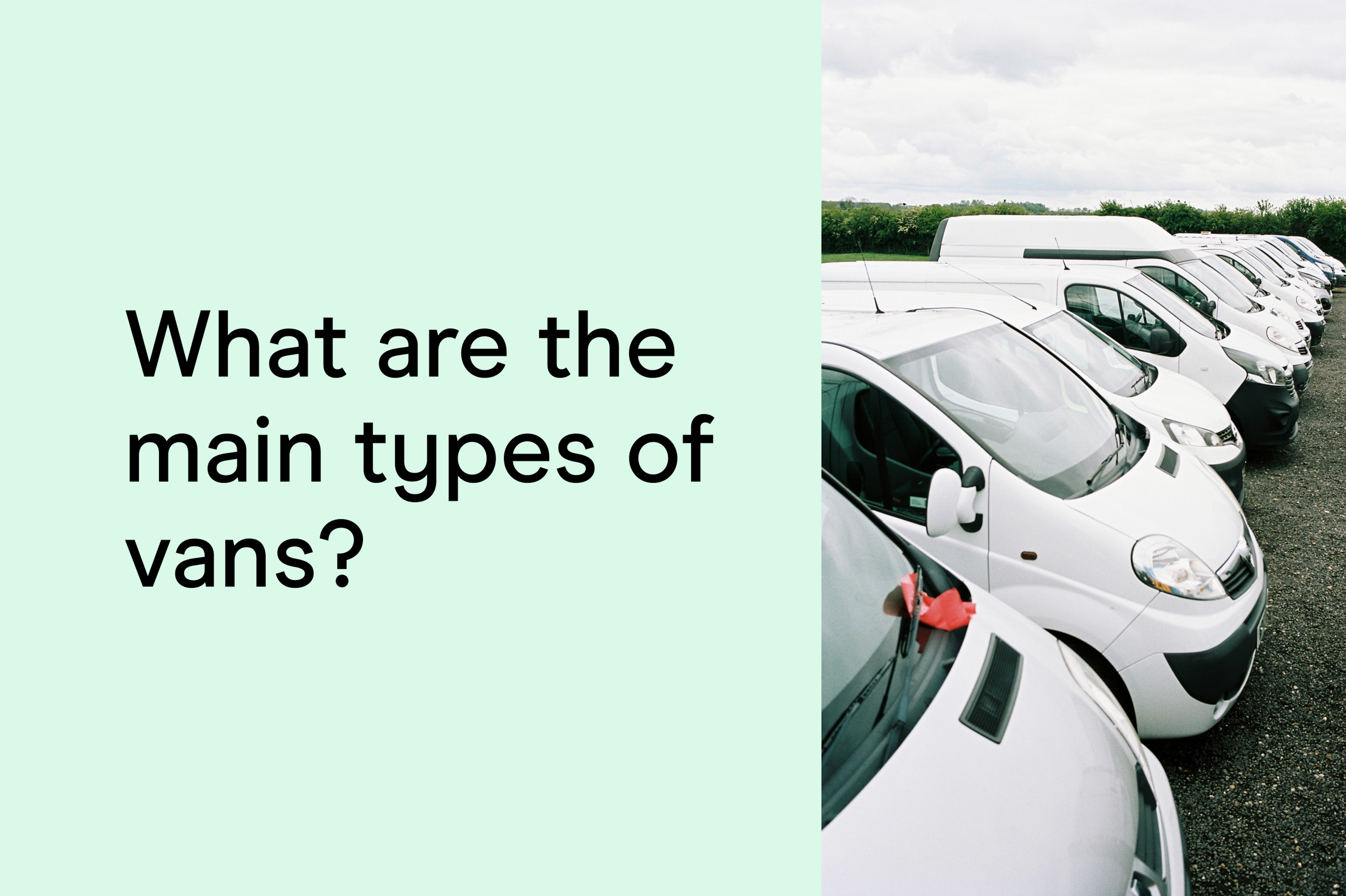What are the main types of vans?