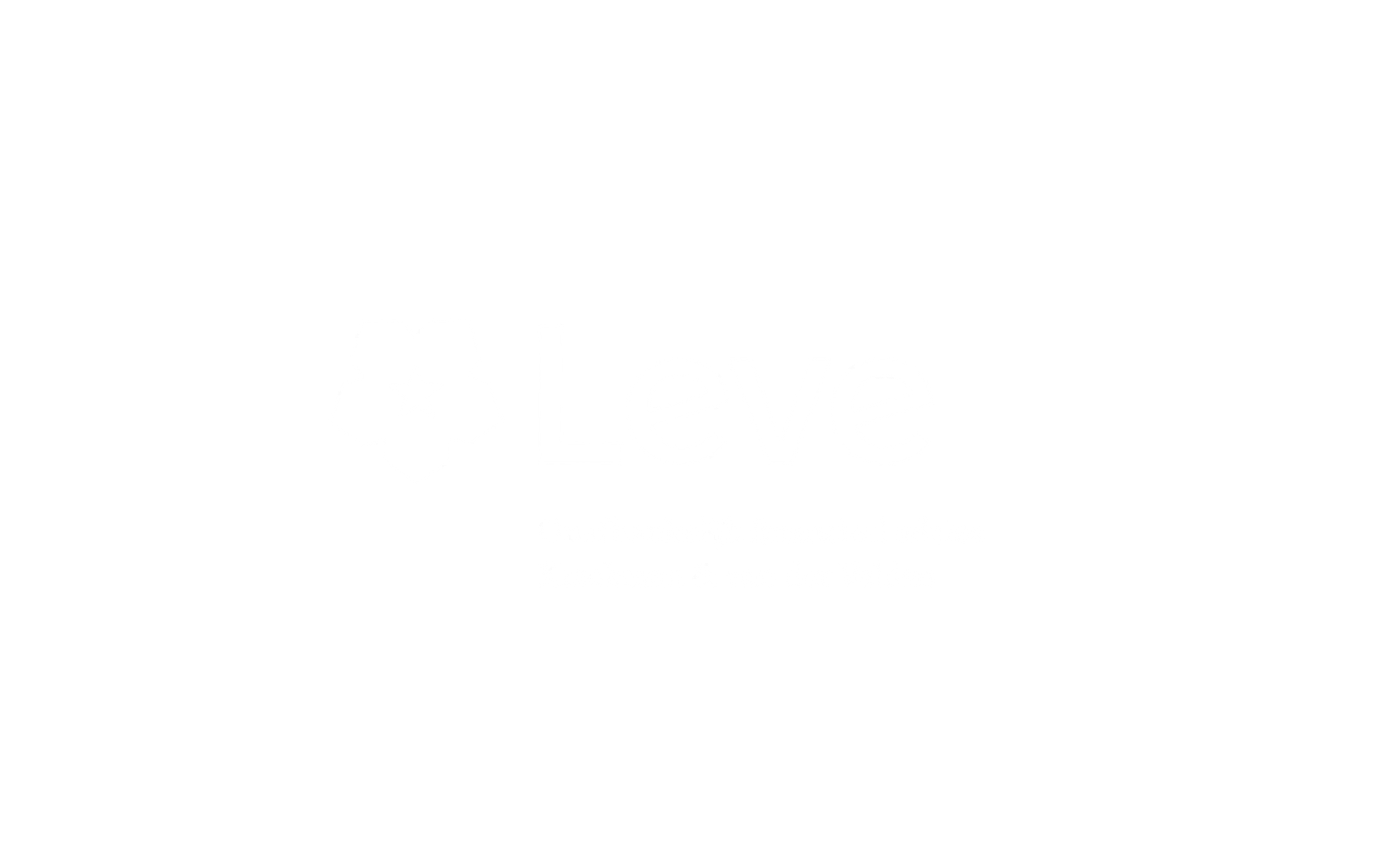 Leve Verzekeren Logo