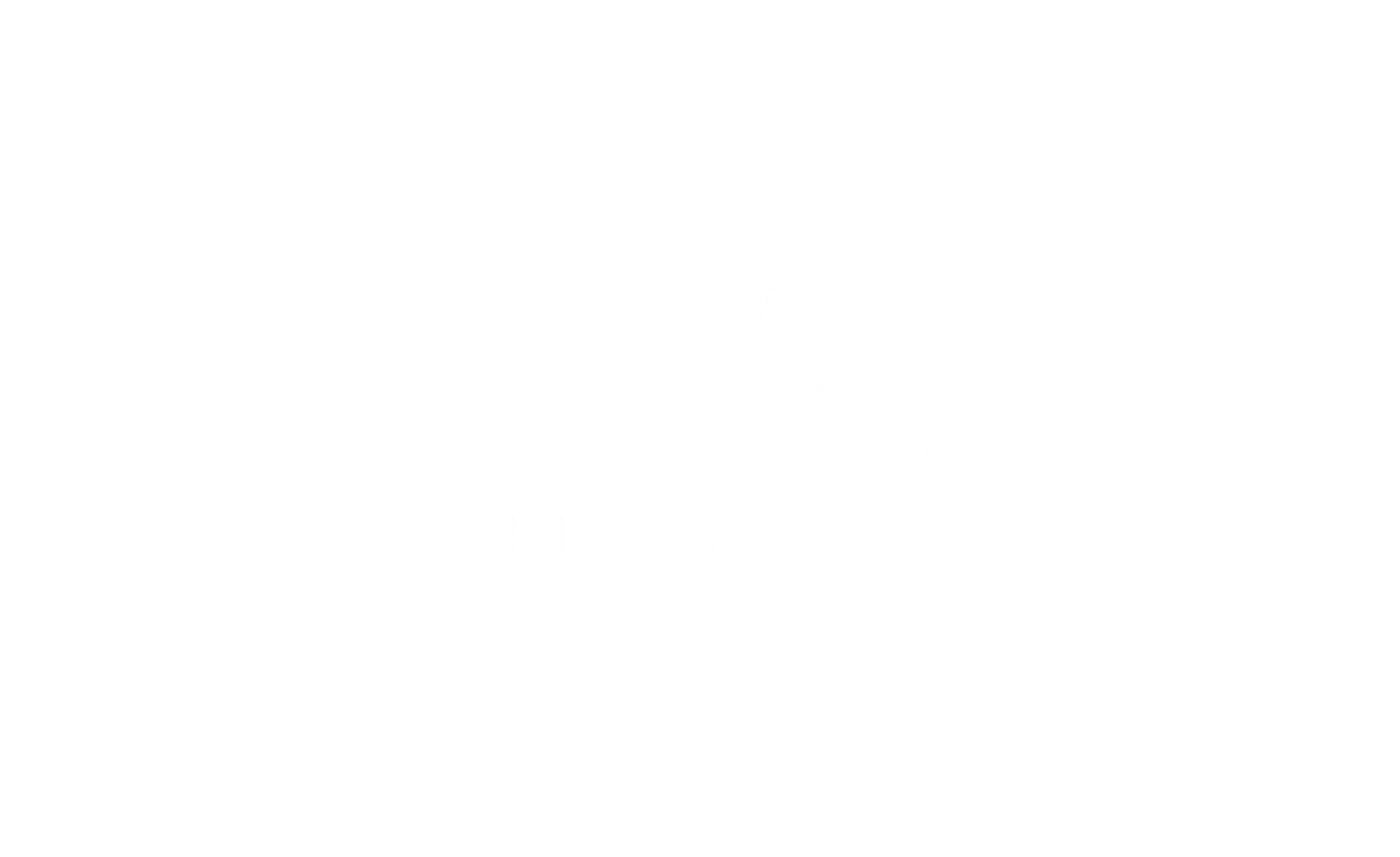 Schouten Zekerheid logo