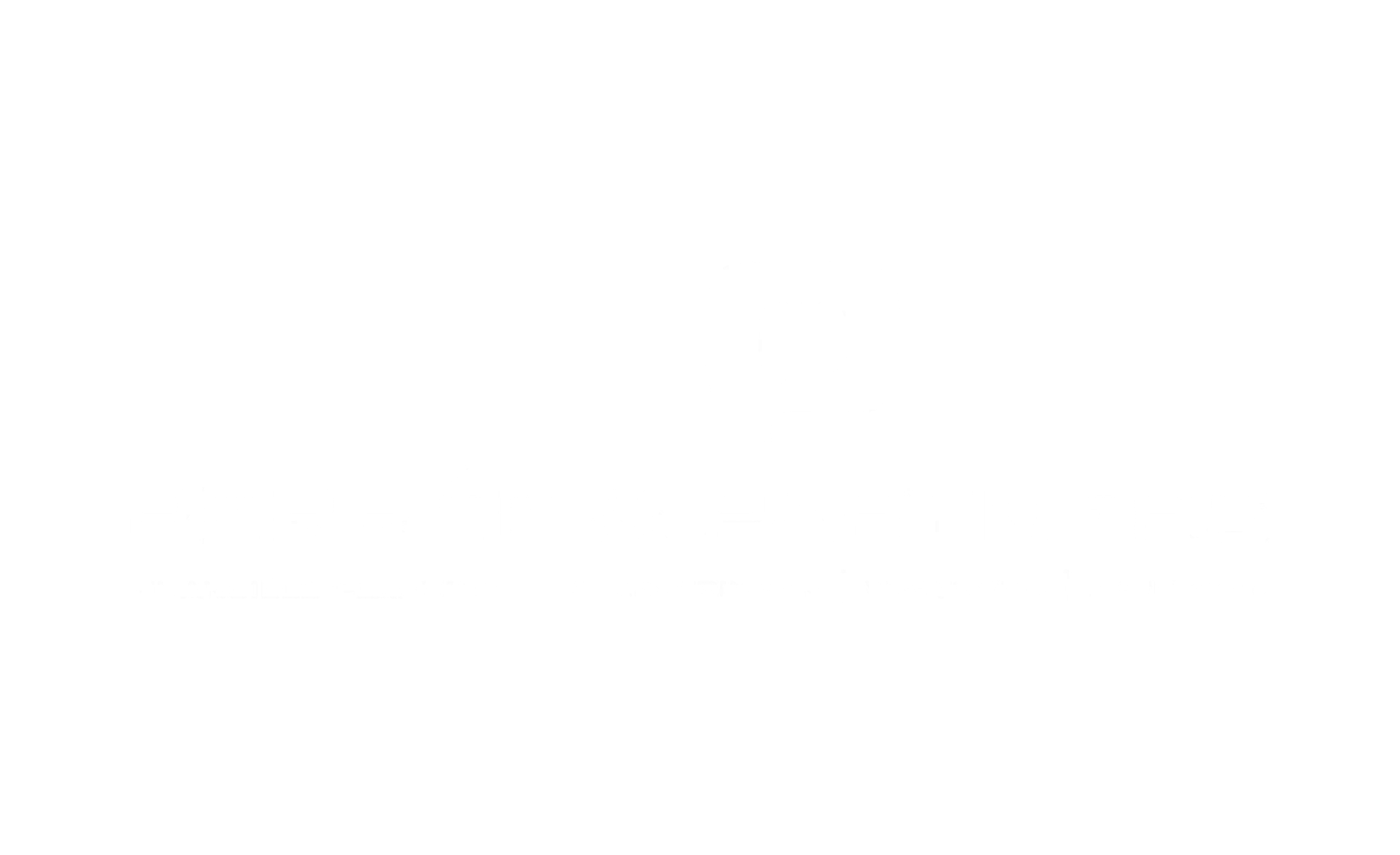 Perree & Partners verzekeren Logo