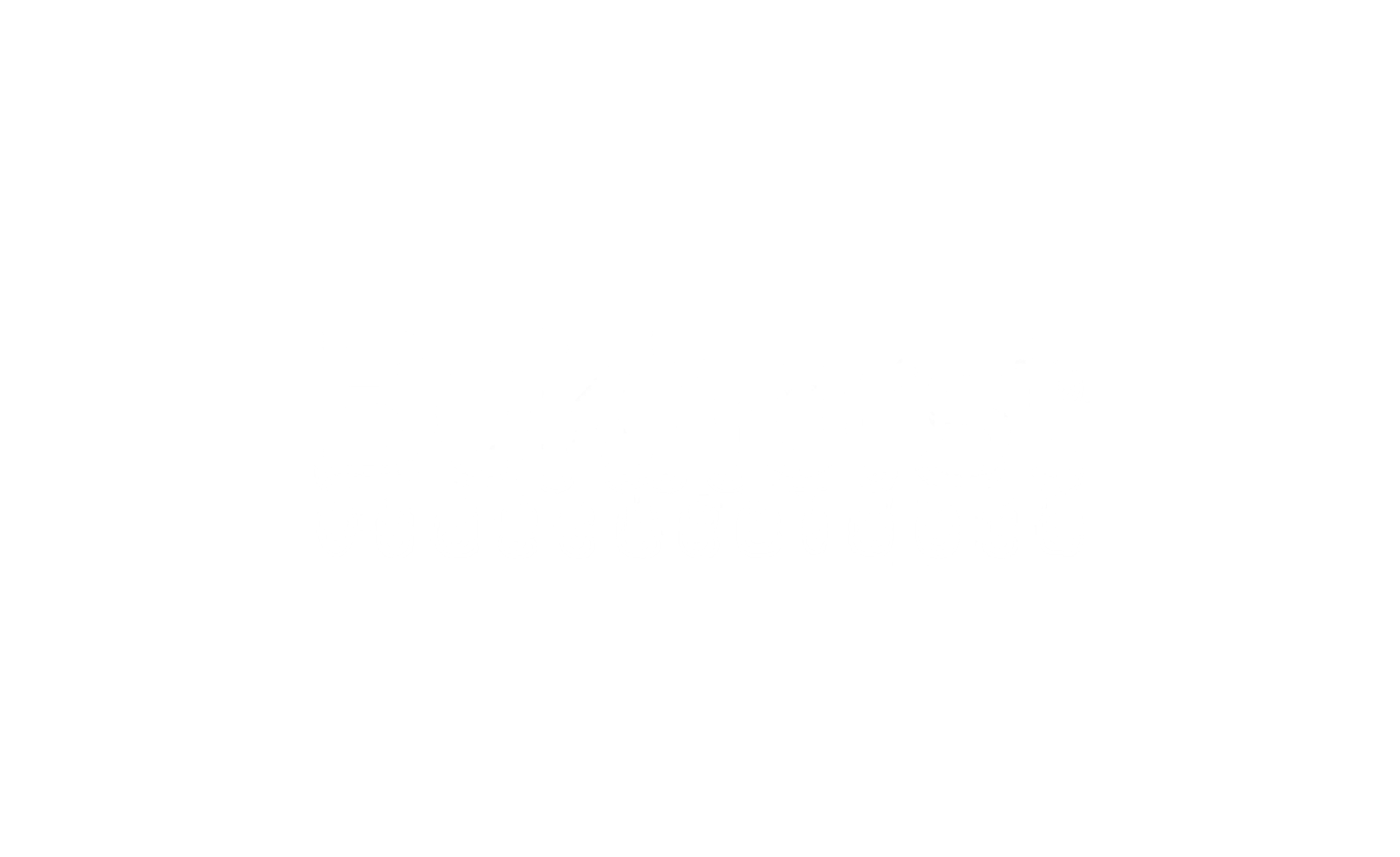 Bokhorst Verzekeringen logo