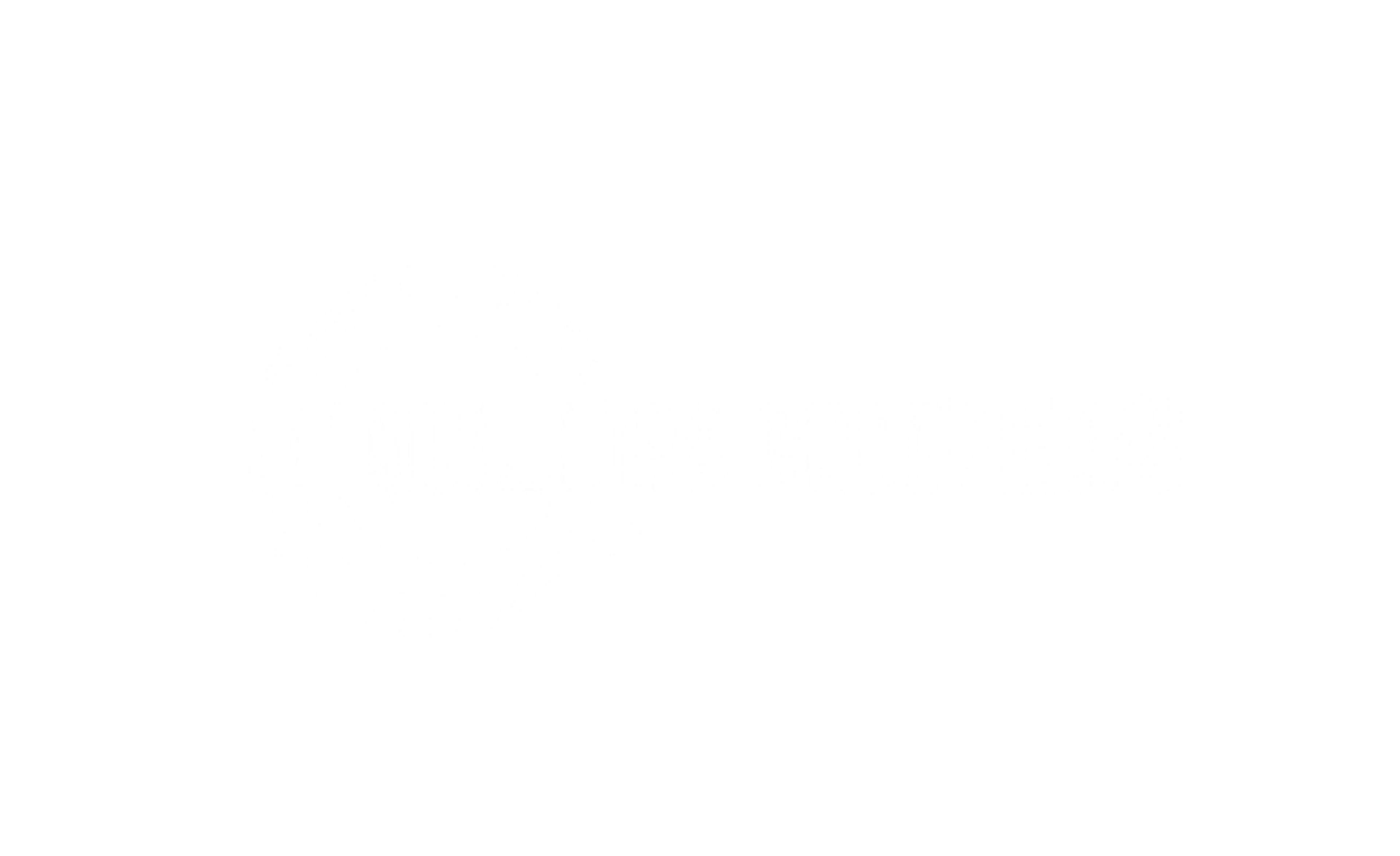 Qualiora groep verzekeren logo