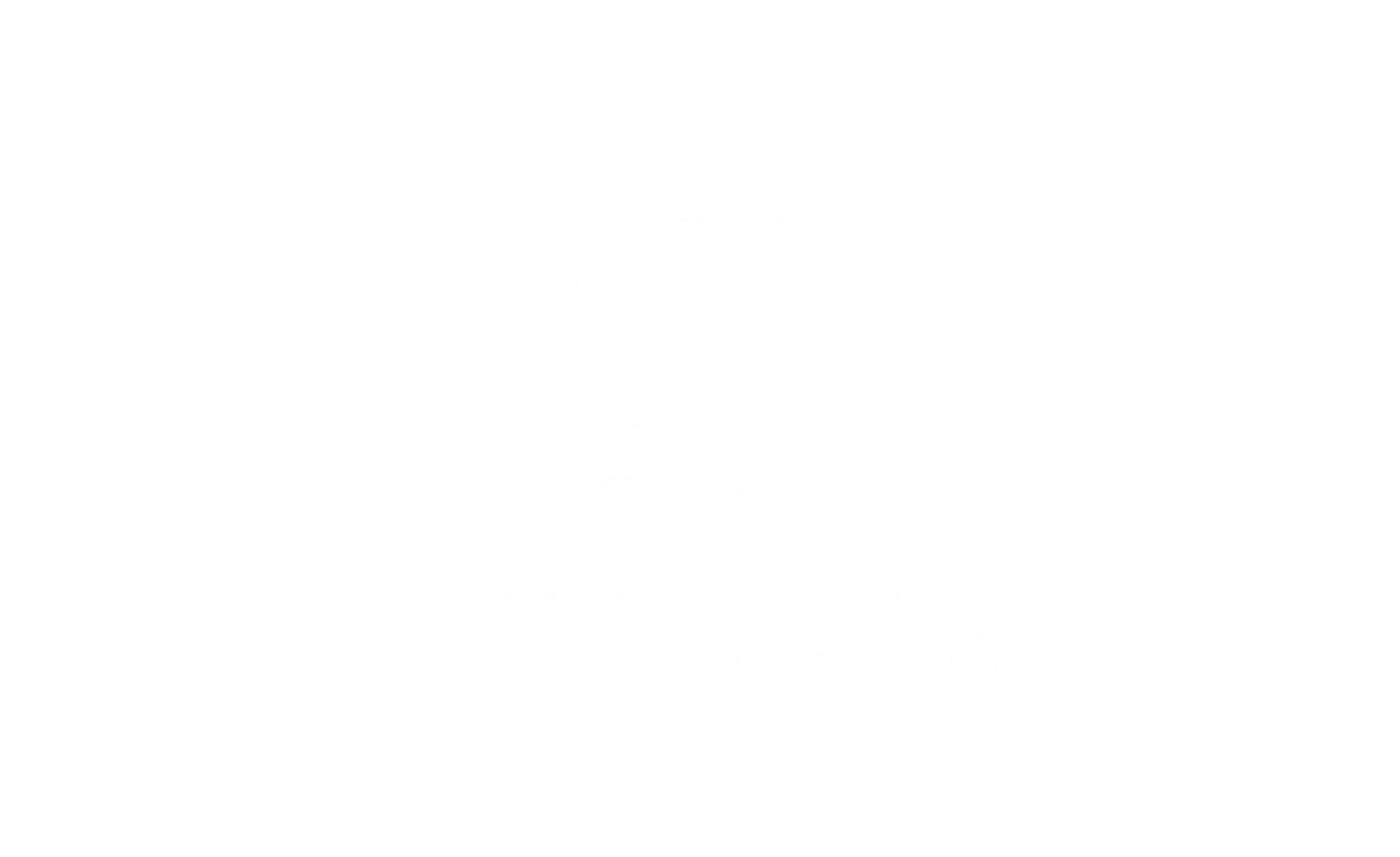 Raetsheren Verzekeren logo