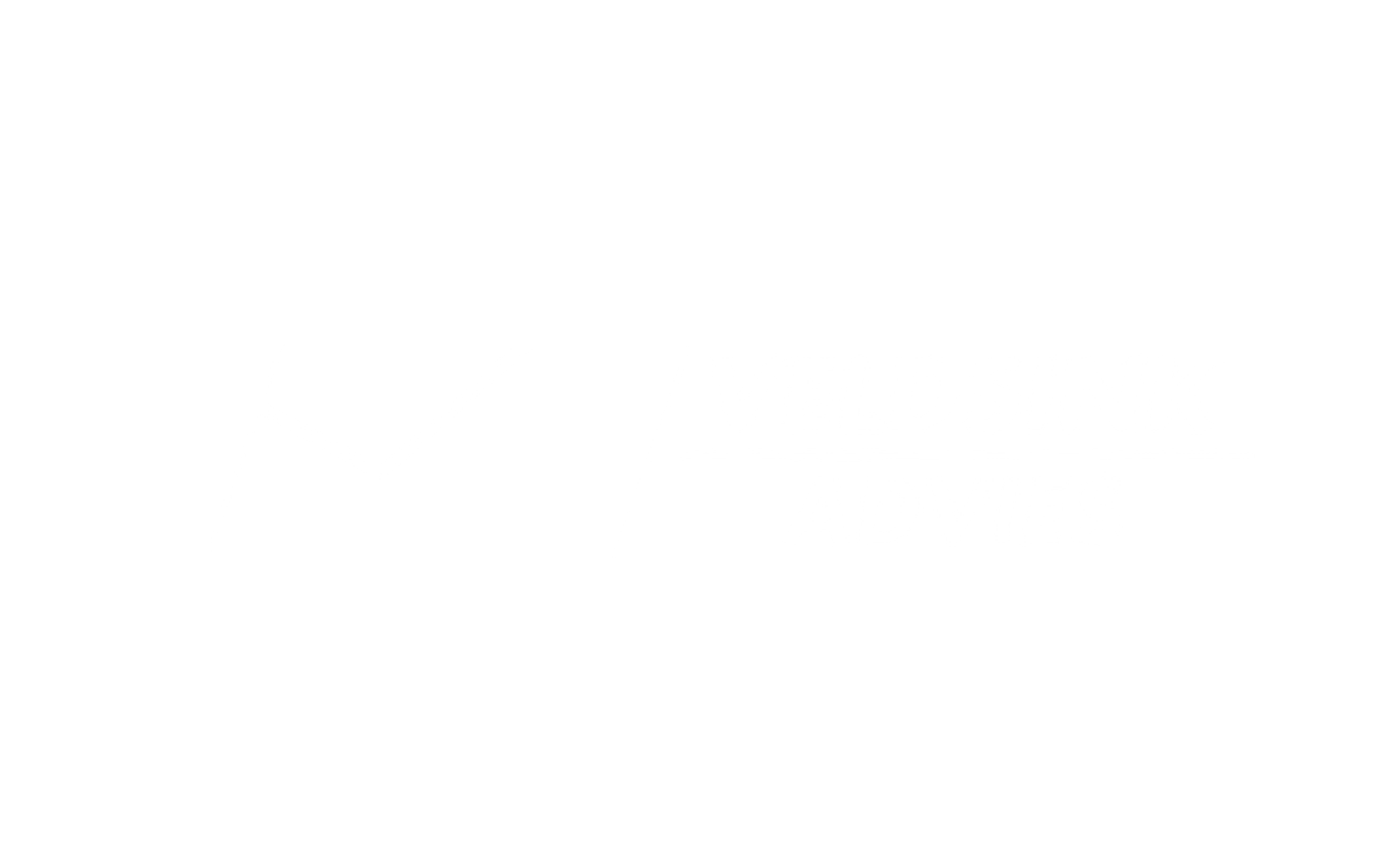 Veldsink advies logo
