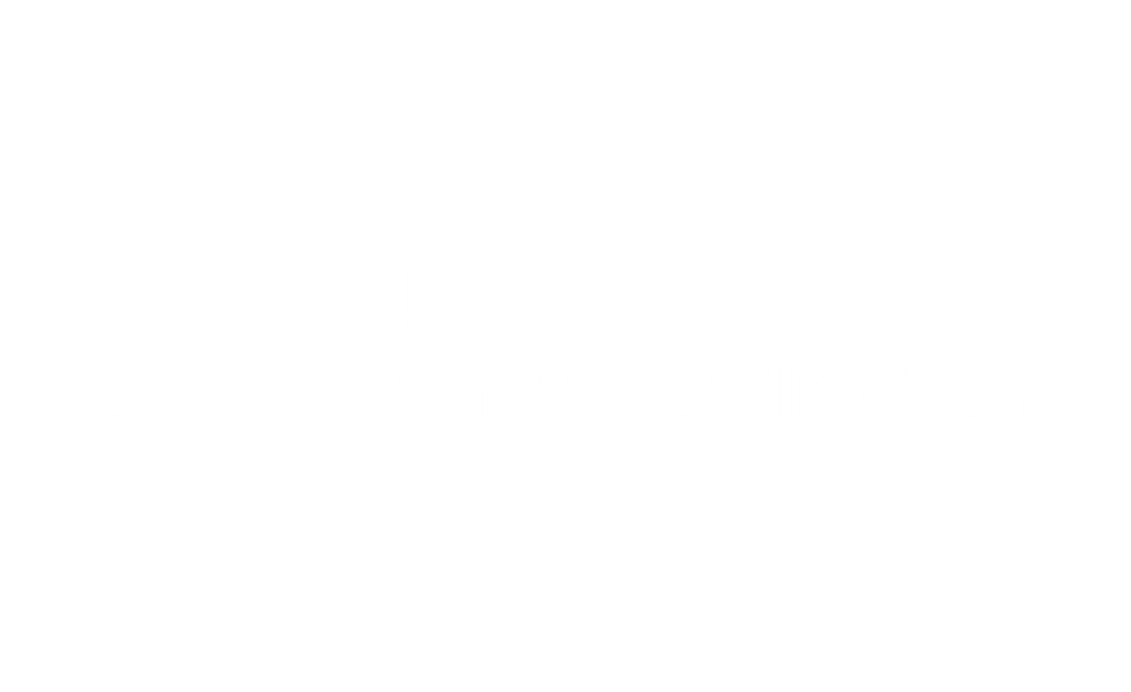 Singh Verzekeringen logo