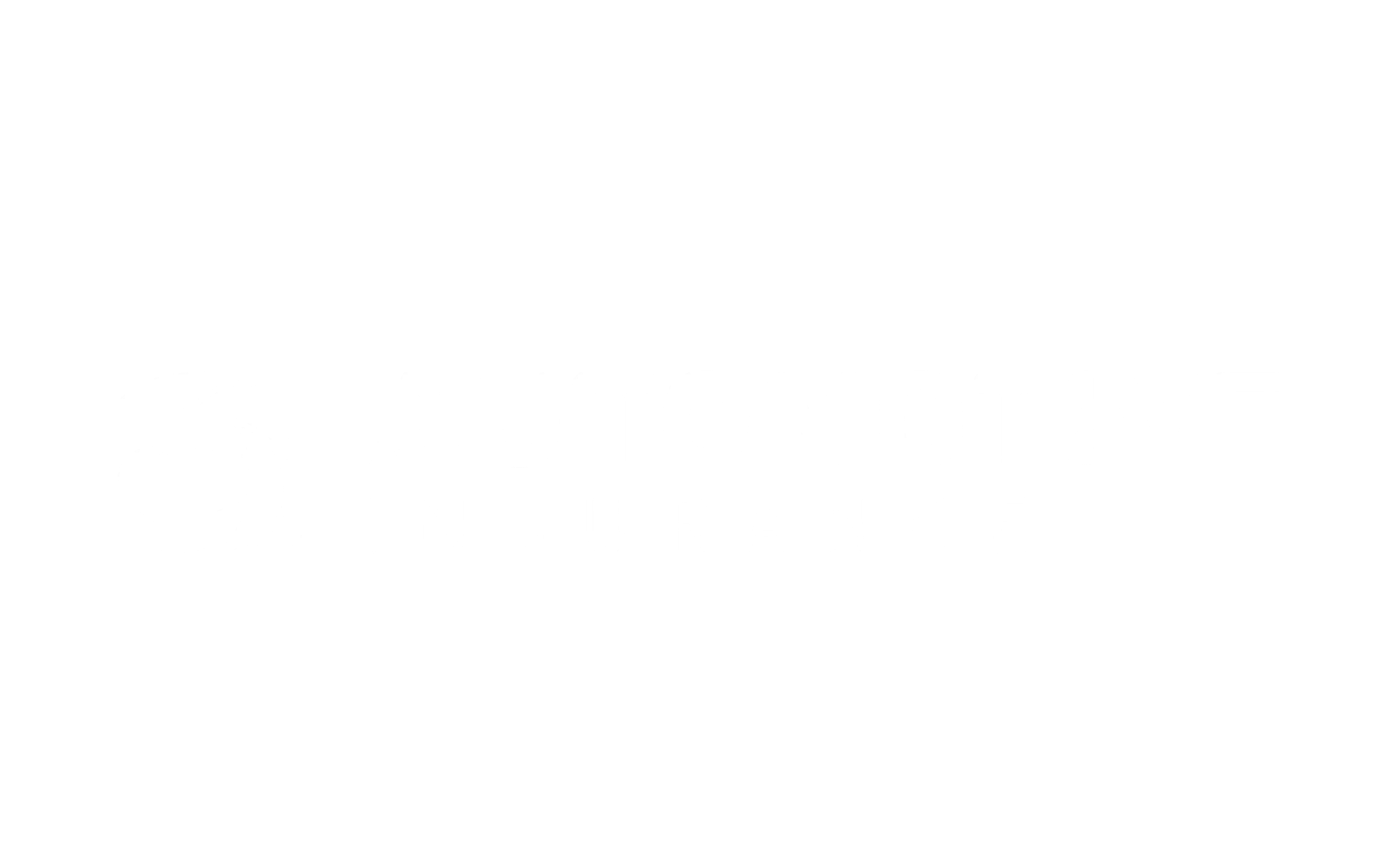 Automotive Insurance  logo