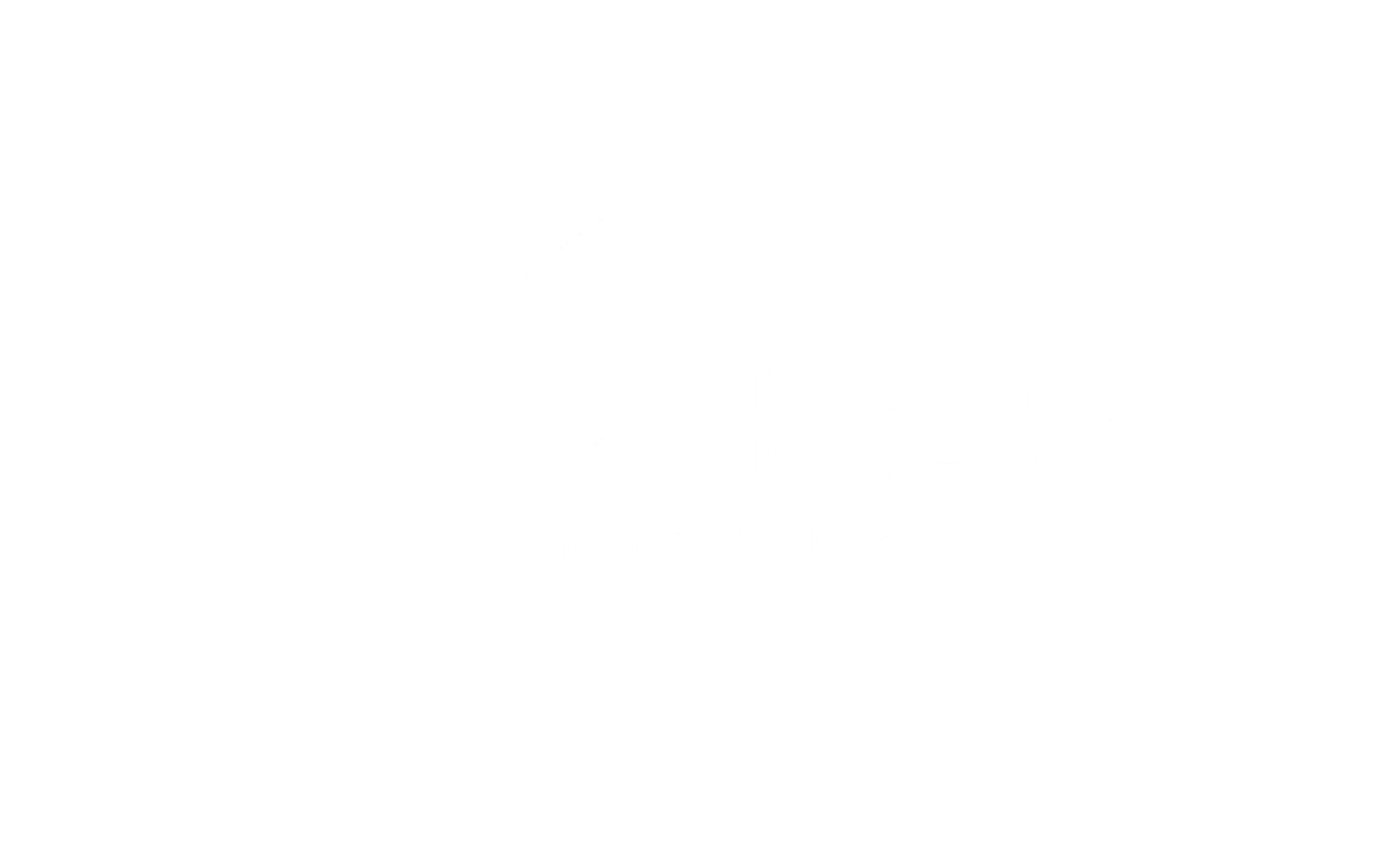 Van Breda Risk & benefits logo 