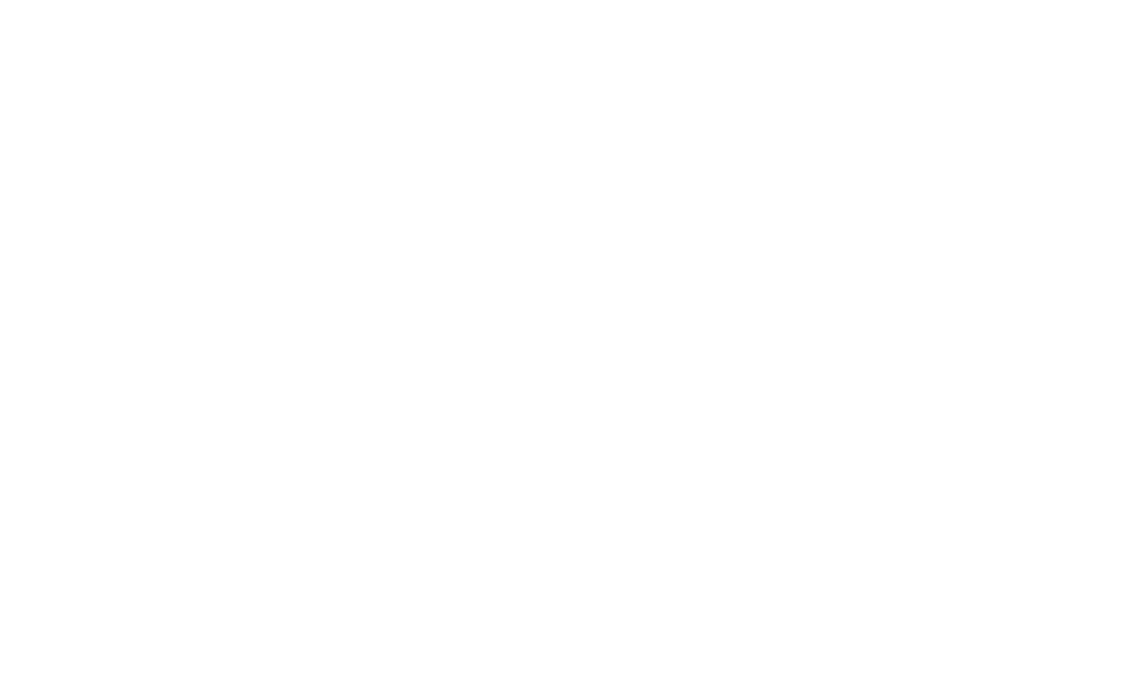 De Risico Strateeg logo