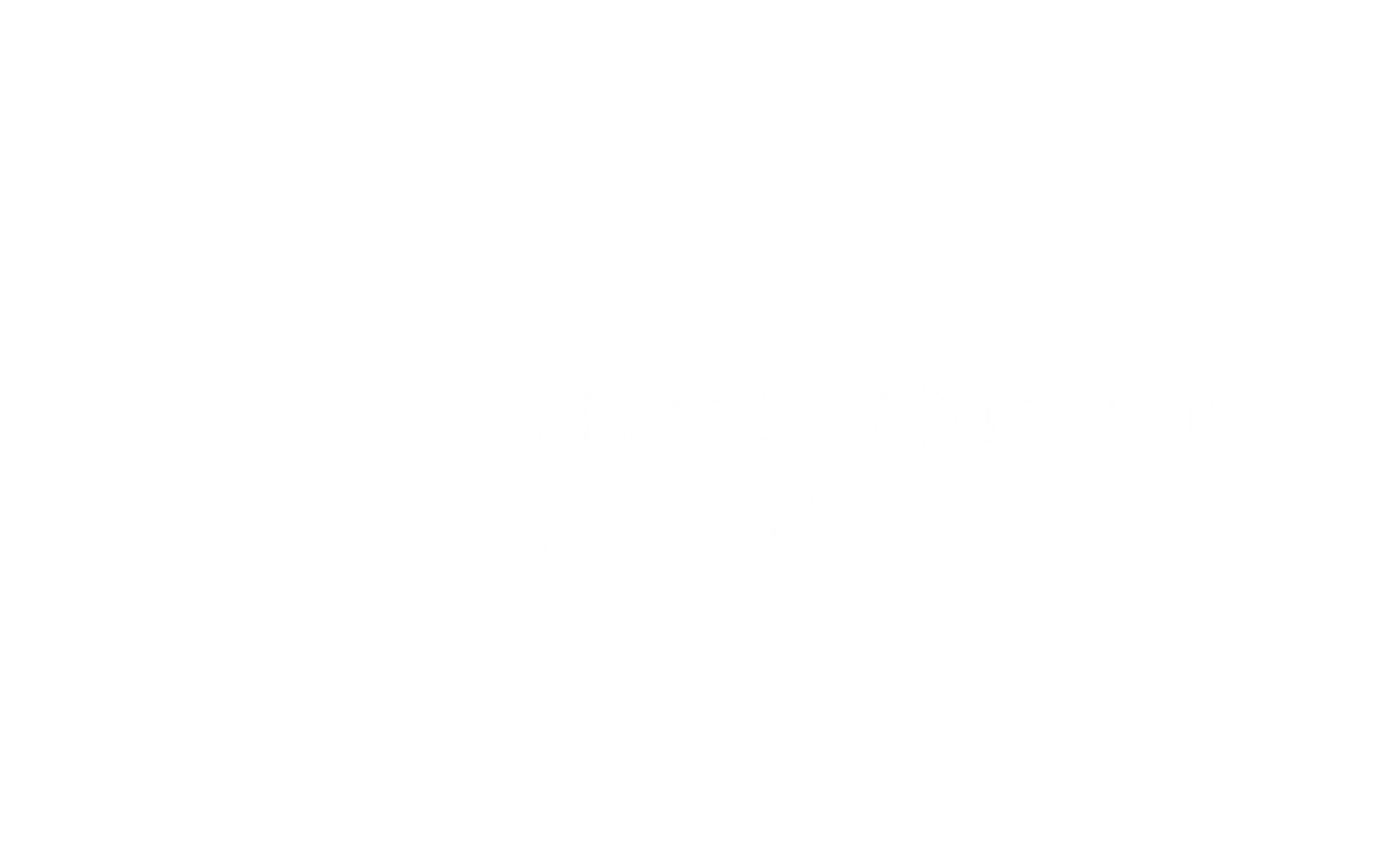 Timmermans Verzekeringen logo