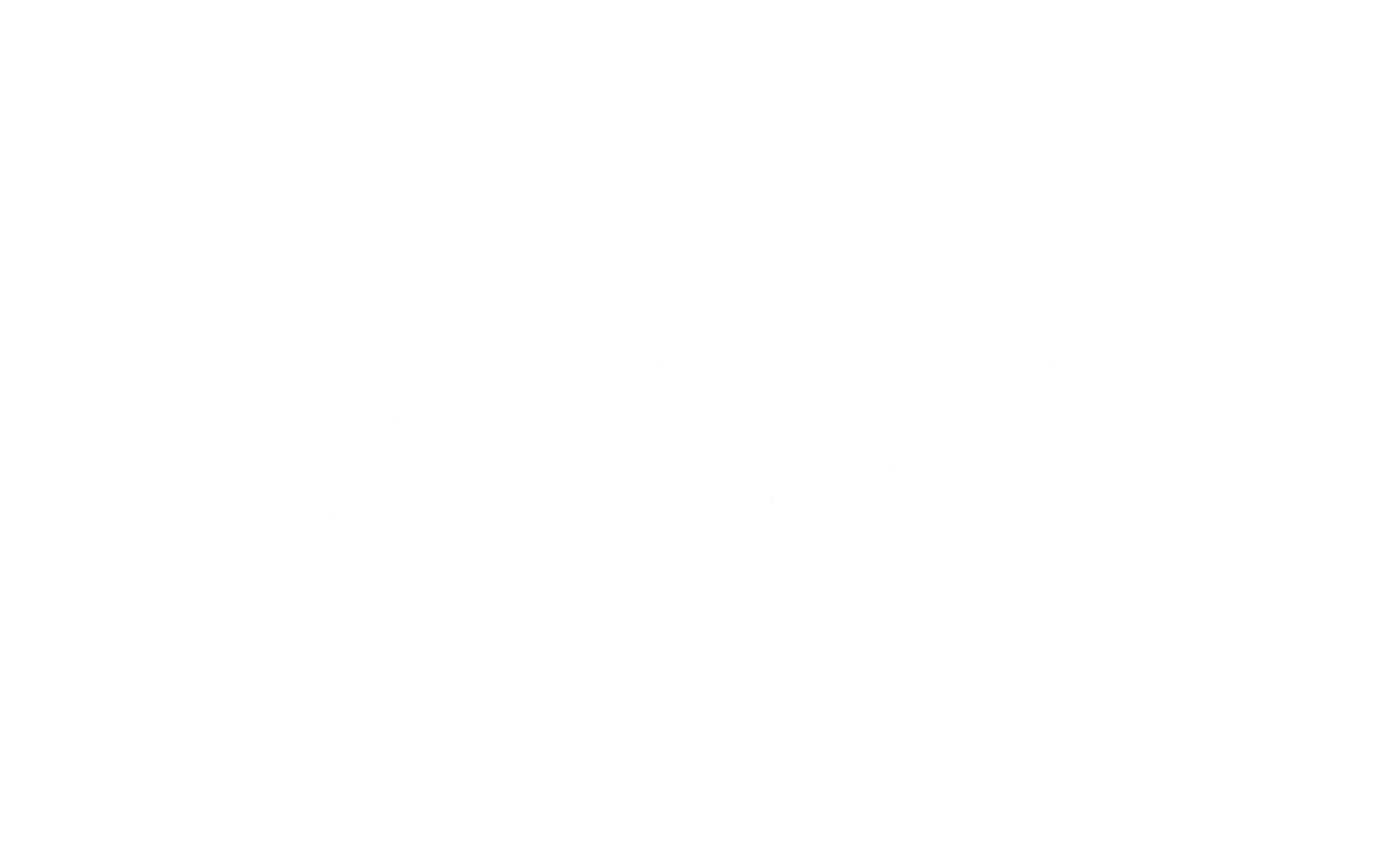 Veldhuis Advies logo
