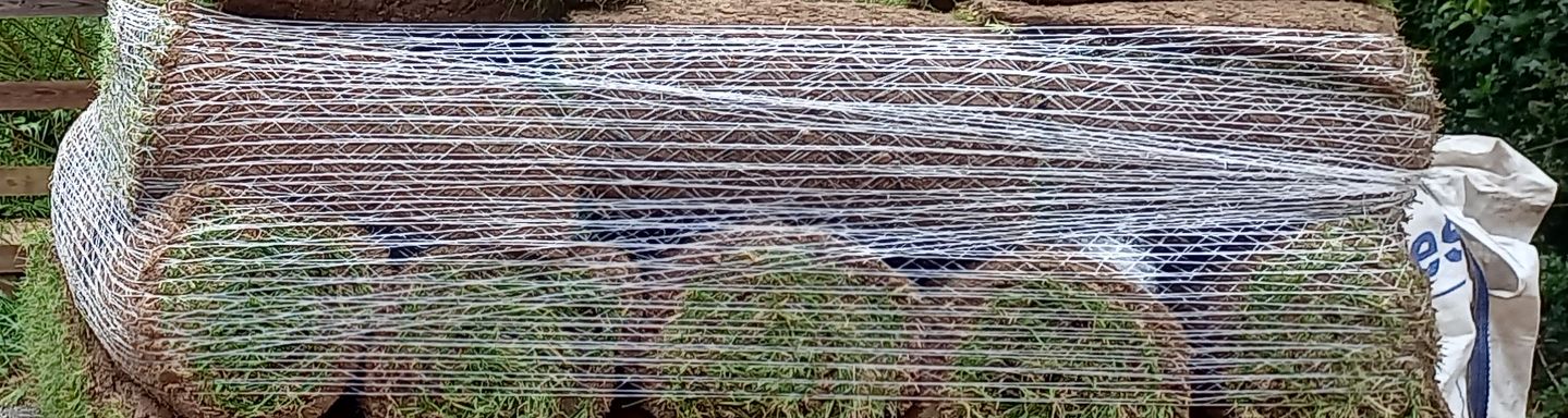 Cover image for Turf